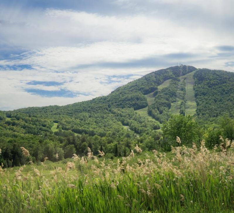 Condo Hotel Au Pied Du Mont Orford Cameră foto